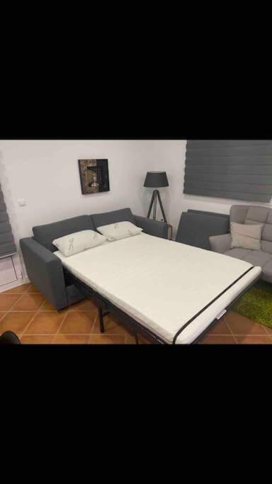 Bird'S Home Aveiro Ngoại thất bức ảnh